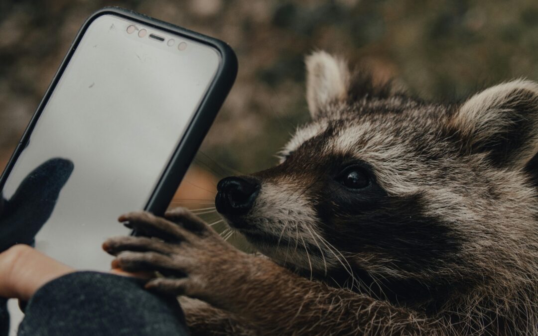 Dierenspeur en Snapdag 30 maart 2025